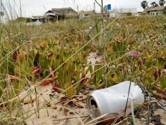 La Universidad de Alcalá participa en un estudio global que revela el impacto oculto de las actividades humanas sobre la biodiversidad vegetal