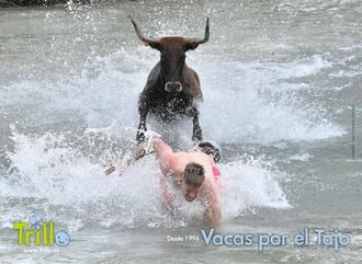 El 30º aniversario de las Vacas por el Tajo y el regreso de Perreosfera, platos fuertes de la Feria Chica de Trillo
