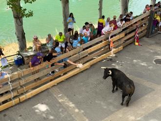 Unas 10.000 personas llenan Trillo para celebrar el 30 aniversario de sus Vacas por el Tajo
