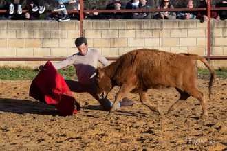 David de Miranda y las reses de Guerrero y Carpintero dan una gran tarde en Valdesaz