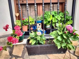 Cogolludo premia a las ganadoras del IV Concurso de Embellecimiento de Fachadas y Balcones