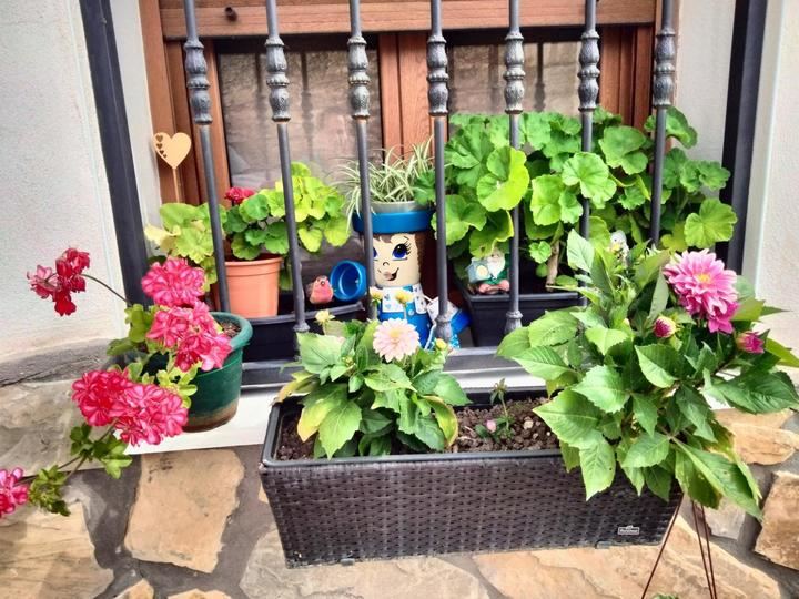 Cogolludo premia a las ganadoras del IV Concurso de Embellecimiento de Fachadas y Balcones