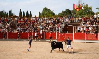 Cabanillas del Campo celebra su primer encierro urbano de las Fiestas 2026