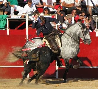 Bohórquez toreó muy bien al cuarto.