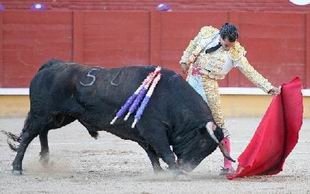 Fandiño destacó en el toreo natural y sólo la espada le privó de un éxito mayor. FOTOS: Miguel López / Campo Bravo