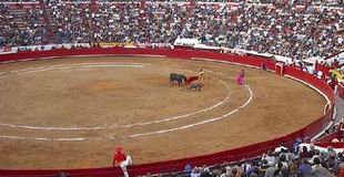 El toreo cruza el charco hasta febrero