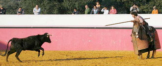 El diestro Morante de la Puebla preparado en el caballo para medir la bravura de su oponente. (Foto: Campo Bravo)