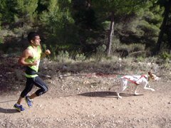 El Circuito de Canicross hará parada en Marchamalo, en su segunda edición