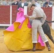Iván Fandiño se gustó frente a su novillo de Cantinuevo y obtuvo el triunfo más rotundo de la tarde.