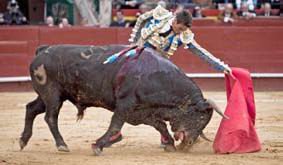 José María Manzanares ha sido el triunfador absoluto en Valencia.