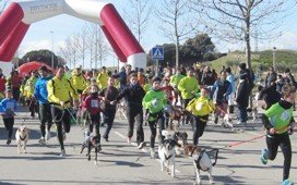 Récord de participación en el I Canicross de Yebes-Valdeluz