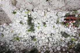Las Mesas pedirá la zona catastrófica por la tormenta de granizo de este sábado