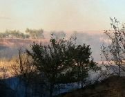 Declarado y apagado un incendio en al A-2, a la altura de la Piscina Sonia Reyes en Guadalajara