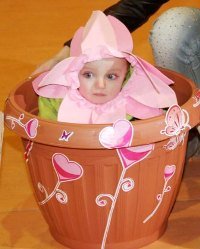 Una pequeña flor y las bombonas de butano saltarinas ganan los disfraces de Sigüenza