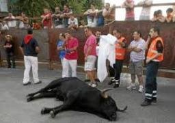 Muere un toro embestido por otro en Leganés
