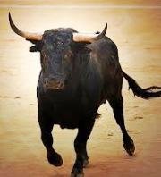 Sigue sin aparecer el toro de 500 kilos de Valfermoso de Tajuña