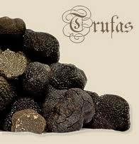 Las setas y las trufas, dos auténticas delicatesen en la zona del Señorío de Molina