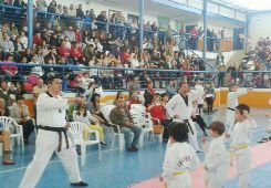 II Campeonato de Taekwondo de Técnica Junior e Infantil Parque Vallejo de Alovera
