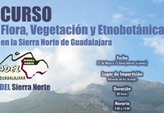 ADEL formará a 25 personas en un curso de flora, vegetación y etnobotánica de la Sierra Norte