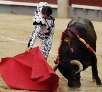 Que me llamen Torero de Madrid, es casi más que si me dicen figura