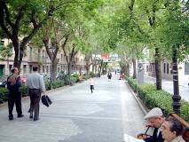 Siguen las temperaturas primaverales este domingo nuboso en Guadalajara con el mercurio en los 26ºC