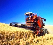 El sector agrario tiene sus propias deducciones.