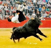 Concurso de Recortes en Jadraque para jóvenes promesas y Exhibición femenina de Recortes