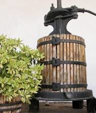 Uno de los referentes de la Denominación de origen de Mondejar