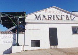 Mariscal lleva en la actualidad, el 50% vendimiado