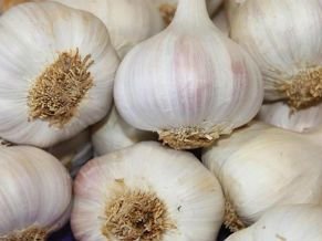 El ajo es el producto más conocido de la provincia de Cuenca