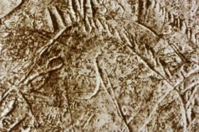 Un tesoro por descubrir