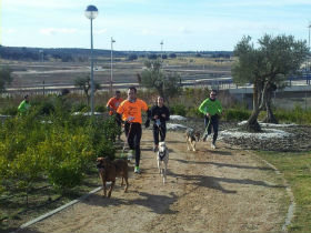 Valdeluz alberga este domingo la cuarta prueba puntuable para el V Circuito Provincial de Canicross