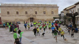 Celebrado con éxito el III Canicross de Cogolludo, penúltima prueba del V Circuito Diputación de Guadalajara
