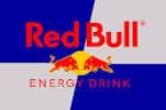 Red Bull, de la Fórmula 1 a financiar investigación en el Hospital de Parapléjicos 