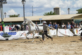 Ecualtur Yunquera 2014 cierra sus puertas con una excelente participación y pensando en el próximo año