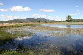 Tamajón recupera el entorno de la laguna de Cantarranas