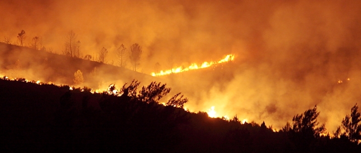 Foto : www.eduardobonillaruiz.com