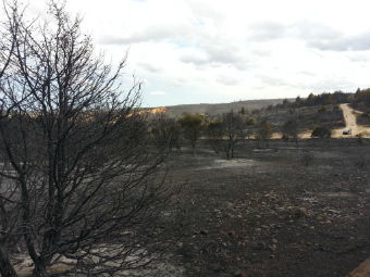 Extinguido el incendio forestal de Cogolludo una semana después de su inicio