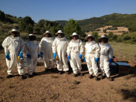 Los alumnos del Taller de Empleo de apicultura en Albalate ya están poniendo en práctica todo lo aprendido en las clases teóricas 
