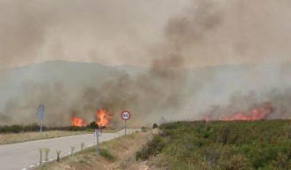 La Consejería da por extinguido el incendio que hace 44 dias se inició en Bustares