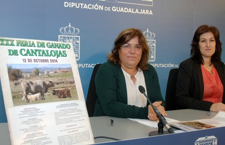 La Feria de Ganado de Cantalojas cumple tres décadas de la mano de la Diputación Provincial