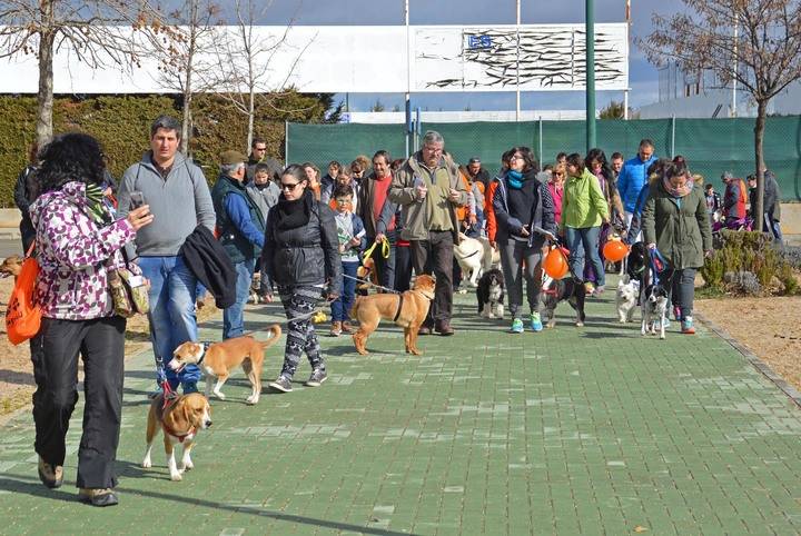Más de 70 participantes en la primera actividad para perros de AspropeGU y el Ayuntamiento de Marchamalo