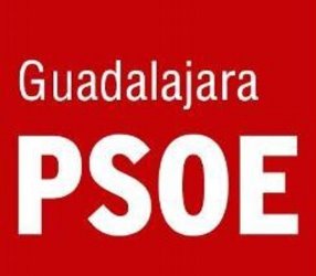 Pulpo como animal de compañía o el paripé de la Asamblea del PSOE de Guadalajara