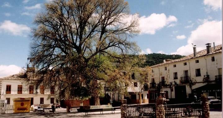 El Ayuntamiento de Pareja reforma la Plaza de la Constitución