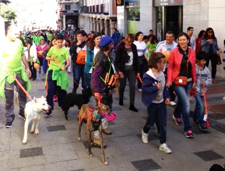 Primer paseo canino promovido por el Ayuntamiento de Guadalajara para implementar el uso de las bolsas de recogida de excrementos