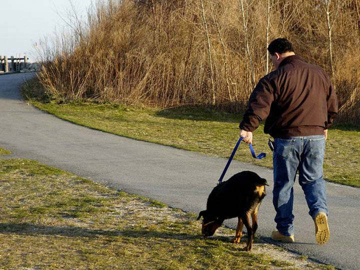 Este domingo, primer paseo urbano dentro de la campaña “Úsame” dirigida a dueños de canes 
