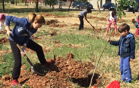 Villanueva planta sesenta nuevos arces con motivo del Día Internacional del Árbol en la cita organizada por las concejalías de Medio Ambiente e Infancia y Juventud