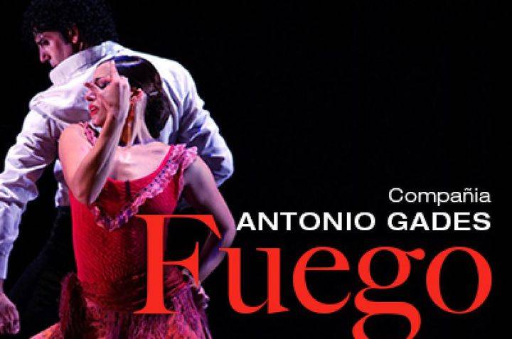 La función del ballet de Antonio Gades, 