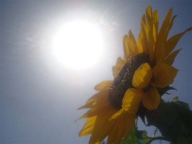Cielos nublados y bochorno este lunes en Guadalajara con el mercurio en los ¡28ºC!