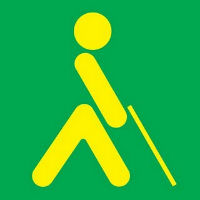 Los colegios Ciudad de Capadocia de Trillo, Badiel y Seminario Menor Agustiniano, campeones provinciales en el concurso de la ONCE